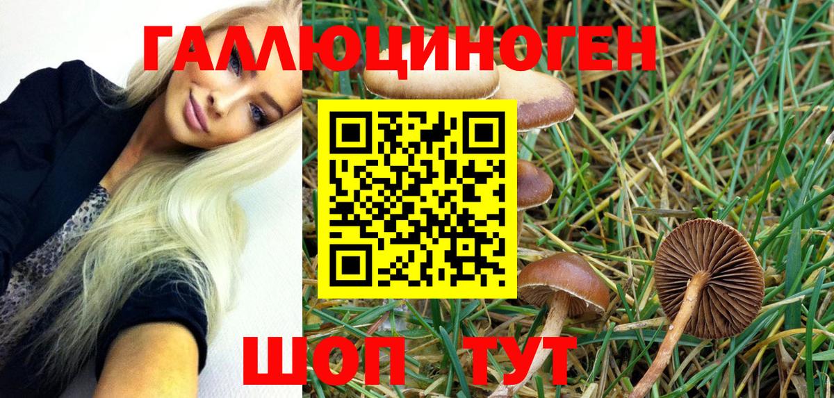 Галлюциногенные грибы Psilocybe  Вход с VPN  Галлюциногенные грибы Magic Shrooms  Миасс 