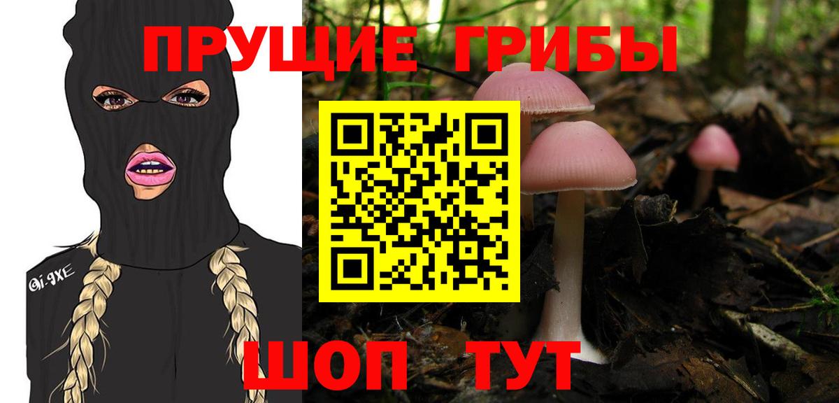 Псилоцибиновые грибы Psilocybe Миасс